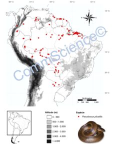 Mapa de distribuição geográfica